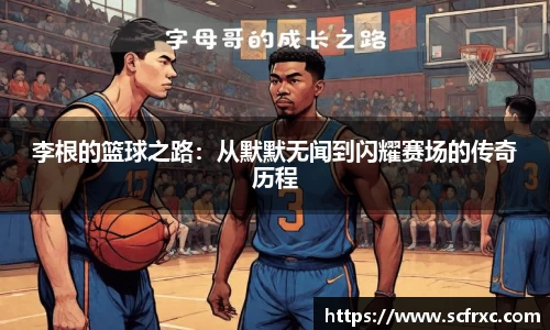 南宫NG28