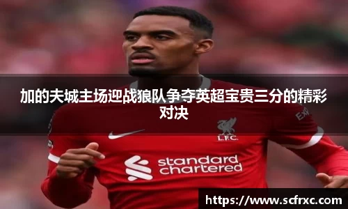 加的夫城主场迎战狼队争夺英超宝贵三分的精彩对决