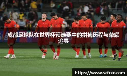成都足球队在世界杯预选赛中的拼搏历程与荣耀追寻