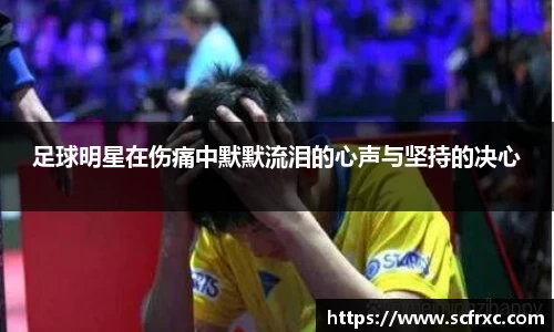 南宫28NG相信品牌力量